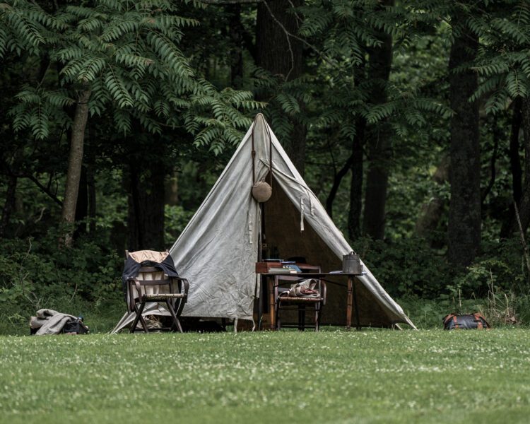 Civil War Encampment Allaire State Park 060119 057