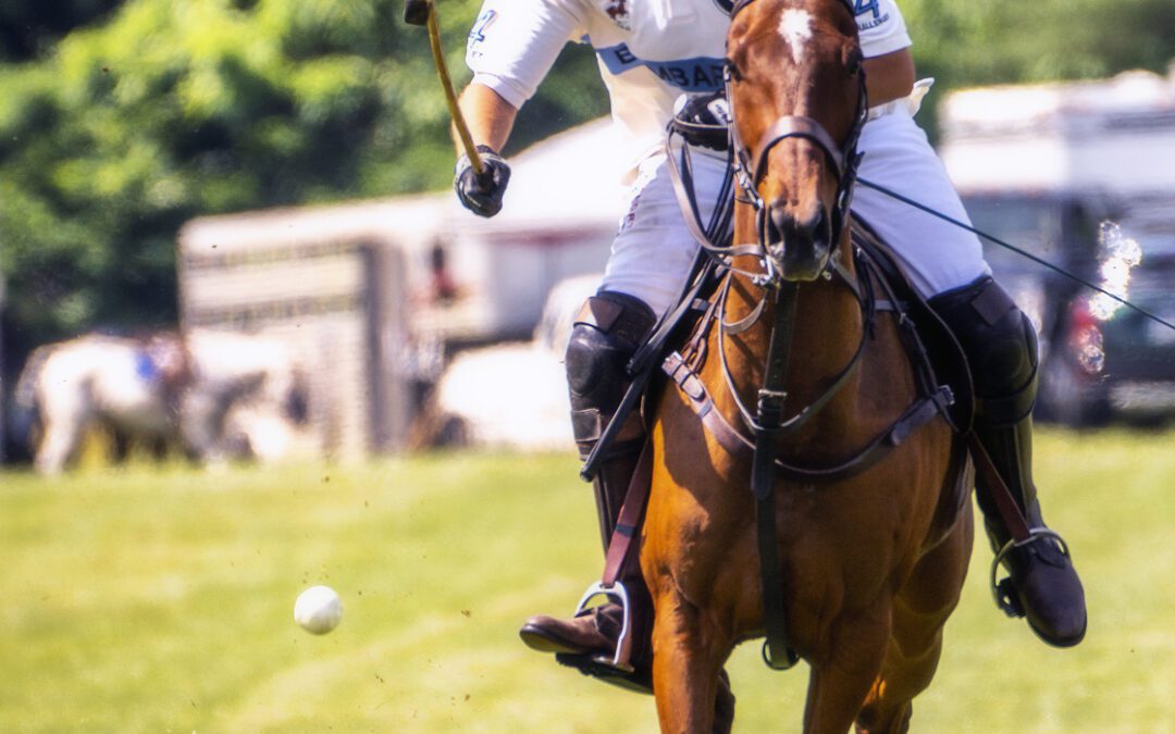 Polo Photos at Tinicum Park – June 2018