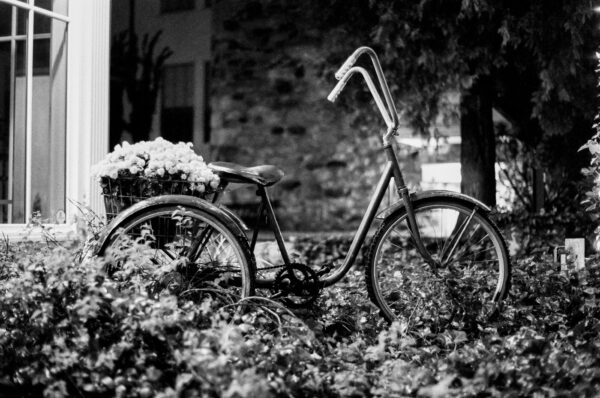 A photograph of a decorative bicycle at night